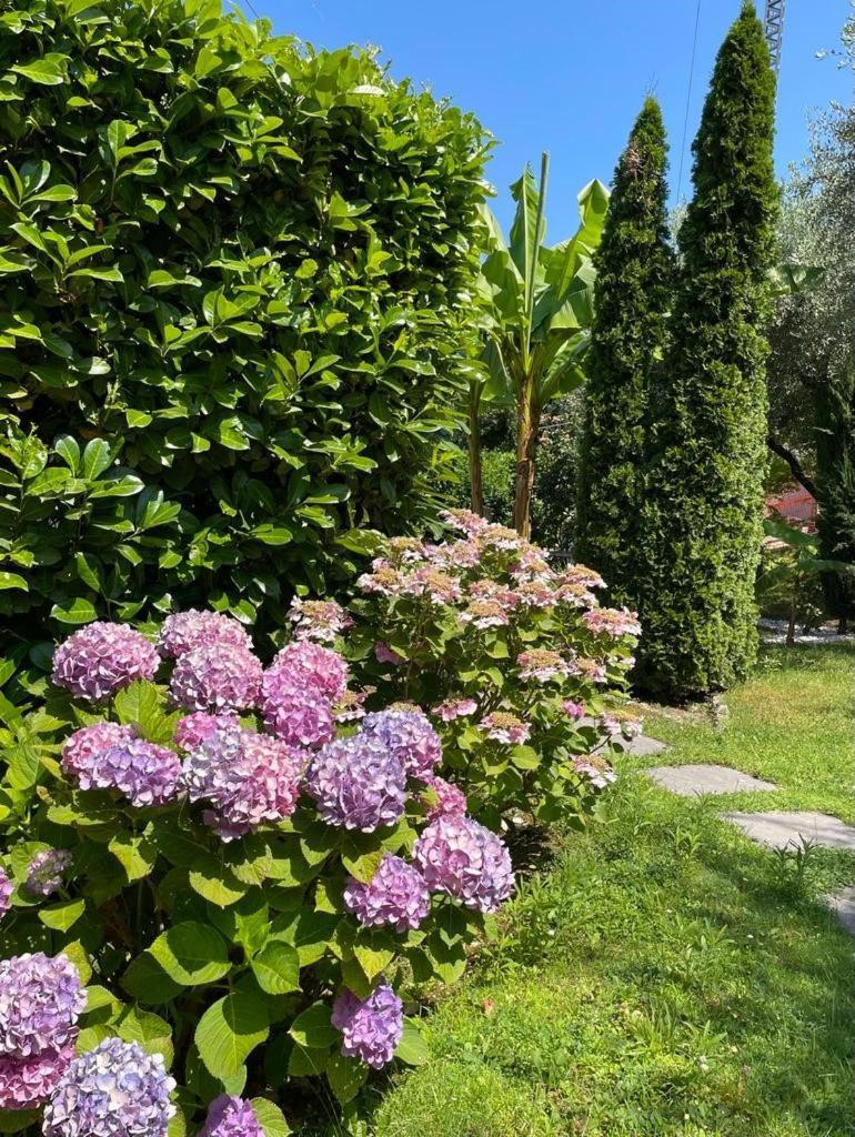 Appartamento La Perla Torri Del Benaco Exterior foto
